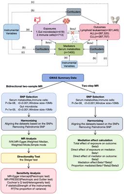 Causal pathways in lymphoid leukemia: the gut microbiota, immune cells, and serum metabolites